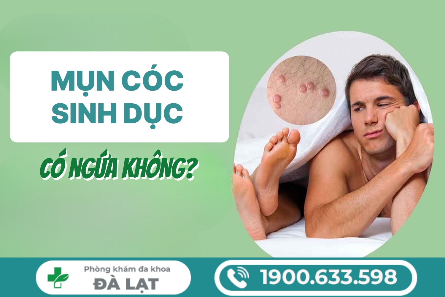 Hình ảnh minh họa